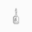Silver charm pendant zodiac sign Aquarius with zirconia from the Charm Club collection in the THOMAS SABO online store